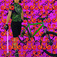 Small user avatar
