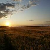 User avatar for Gervais Larouche