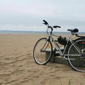 User avatar for Daphné Rondeau Geoffrion