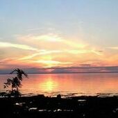 User avatar for Elise Bertrand