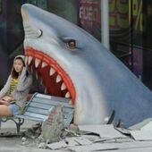 User avatar for Barbara Fortin