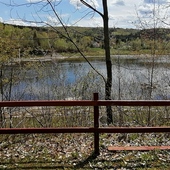 User avatar for Alain Rodrigue