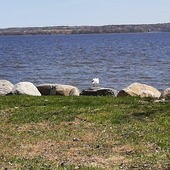 User avatar for Celine Pare