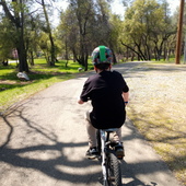 User avatar for Aidan Olea