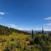 User avatar for Bruce Mac Neil