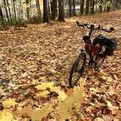 User avatar for Francine Lavallee