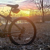 User avatar for Anh Khoi Vo