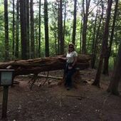 User avatar for Brigitte Shaffer