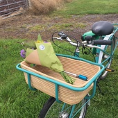 User avatar for Millie Stevenson