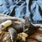 User avatar for Chloe Leblanc