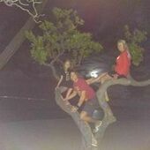 User avatar for Andy Cochrane