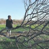 User avatar for Émanuelle T. Delarosbil