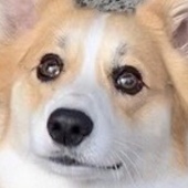 User avatar for Ryan Trussell