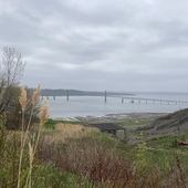 User avatar for Audrey Vallée