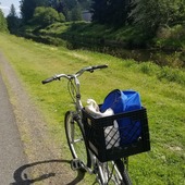 User avatar for Allyson Long