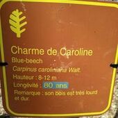 User avatar for Carolien Gagnon