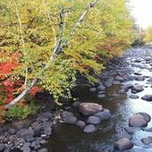 User avatar for Christine Marchildon