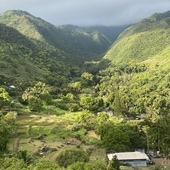 User avatar for Jan Komarica