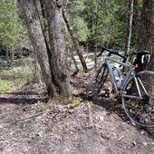 User avatar for Annie Bf