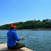 User avatar for Andreanne Charest