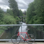 User avatar for Cameron V