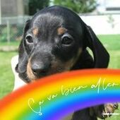 User avatar for Christine Moreau