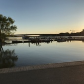 User avatar for Anne Clement