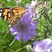 User avatar for Édith Goulet