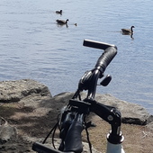 User avatar for Francine Auger