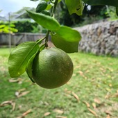 User avatar for Jan Fogelberg