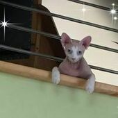 User avatar for Danielle Crevier