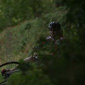 User avatar for Graham Cordner