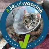 User avatar for Ghislaine Beaulieu