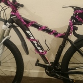 User avatar for Michael Cunningham