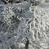 User avatar for David Cliff