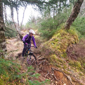 User avatar for Laura Martin