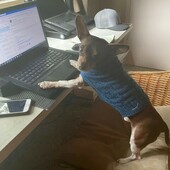 User avatar for Jeanine Dermer