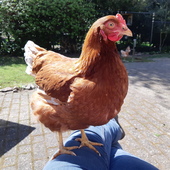 User avatar for Ria  Bos