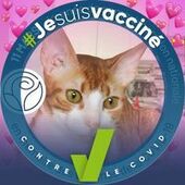 User avatar for Chantal Valois