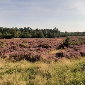 User avatar for Hilda Lohschelder