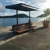 User avatar for Alice Sawyer