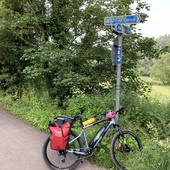 User avatar for Alison Limer