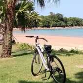 User avatar for Christina Temperton Slemon