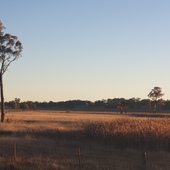 User avatar for Rhonda Bombell