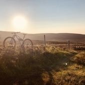 User avatar for Lyndsey Roberton