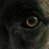 User avatar for Ben Vt