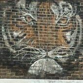 User avatar for Alf Barchus