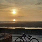 User avatar for Anita Fish