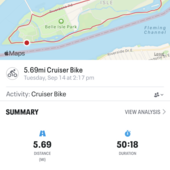 User avatar for Ann Cunningham