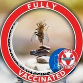 User avatar for Virginia Ellis